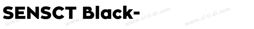 SENSCT Black字体转换